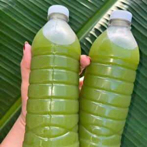 Jugo de chaya