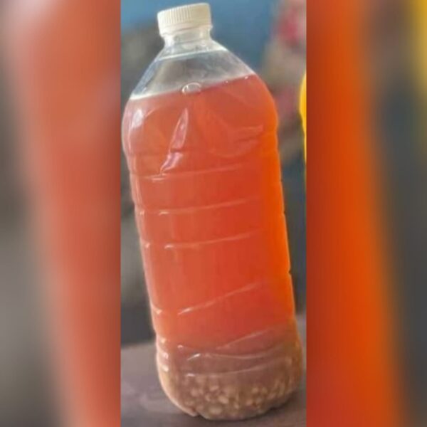 Jugo de cebada