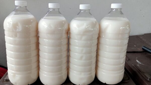 Jugo de Horchata